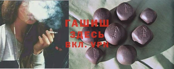 гидра Вязьма
