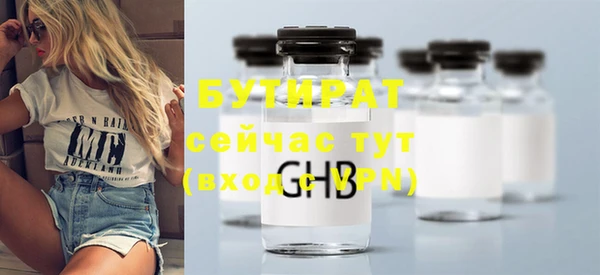 гидра Вязьма