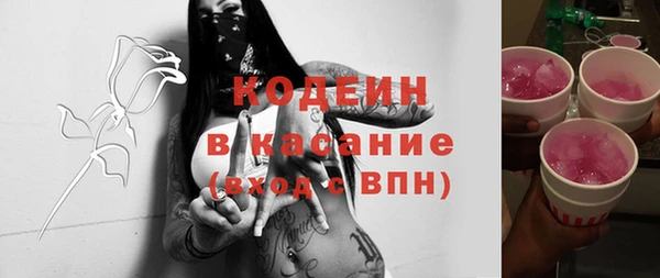 гидра Вязьма