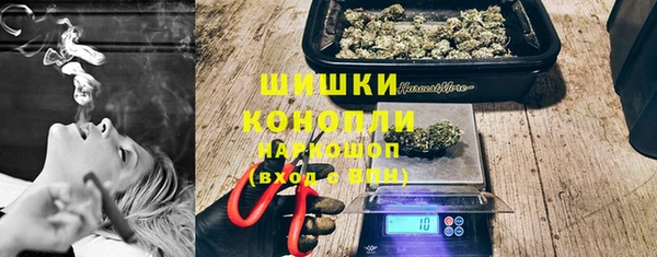 гидра Вязьма