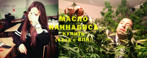 гидра Вязьма
