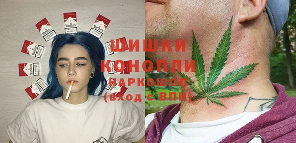 гидра Вязьма