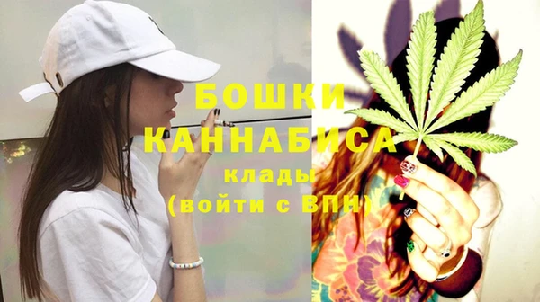 гидра Вязьма