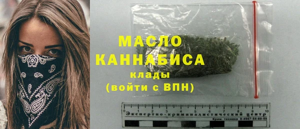гидра Вязьма