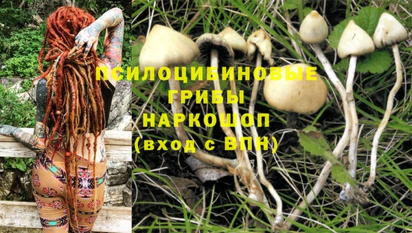 кокаин VHQ Вяземский