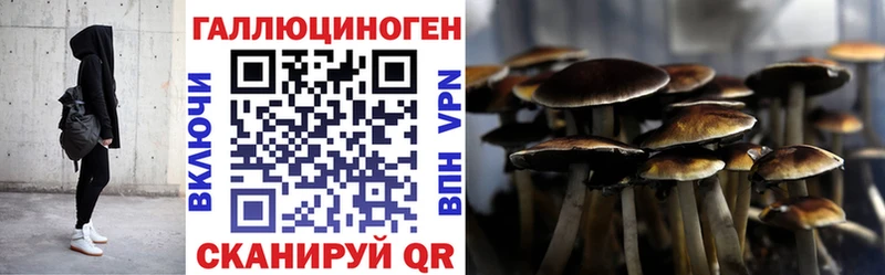 Псилоцибиновые грибы Psilocybe  Купить закладки  Белорецк 